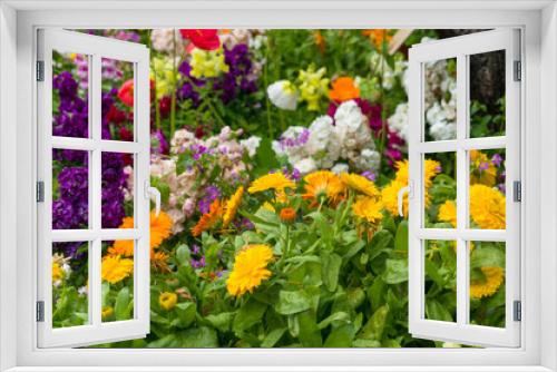 Fototapeta Naklejka Na Ścianę Okno 3D - Bright and colorful spring flowers nature background