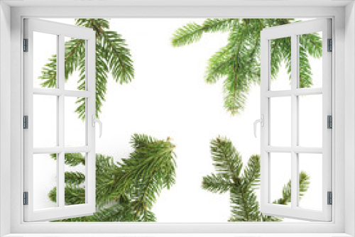 Fototapeta Naklejka Na Ścianę Okno 3D - twig of fir on a white background
