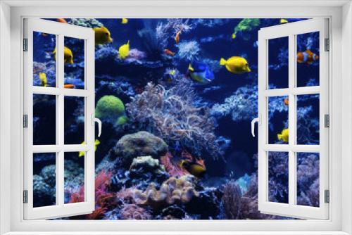 Fototapeta Naklejka Na Ścianę Okno 3D - tropical Fish on a coral reef. Underwater coral fish