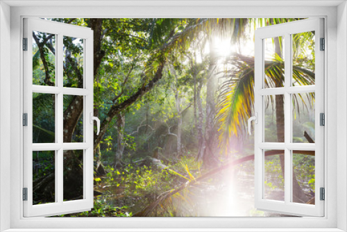 Fototapeta Naklejka Na Ścianę Okno 3D - Foggy jungle