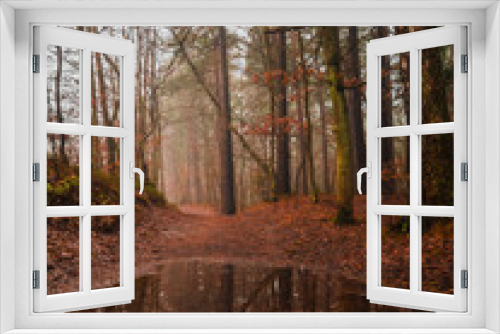 Fototapeta Naklejka Na Ścianę Okno 3D - Landscape of the woods at autumn. Foggy day