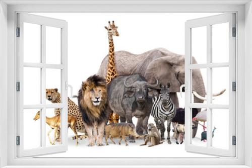 Fototapeta Naklejka Na Ścianę Okno 3D - Safari Animals Together Isolated Banner