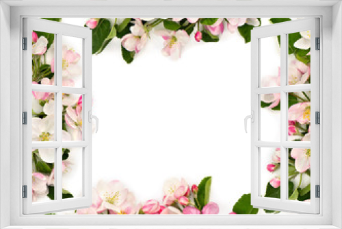 Fototapeta Naklejka Na Ścianę Okno 3D - Frame of flowers apple tree on a white background with space for text. Top view, flat lay