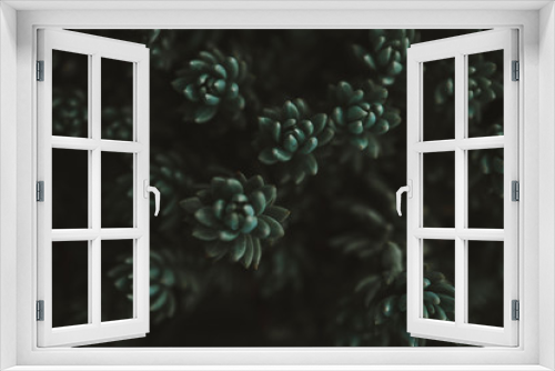 Fototapeta Naklejka Na Ścianę Okno 3D - Background