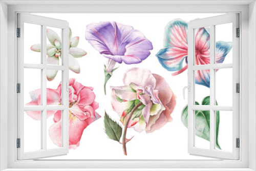 Fototapeta Naklejka Na Ścianę Okno 3D - Set with watercolor flowers. Rose. Petunia. Orchid. Succulent. Hand drawn.