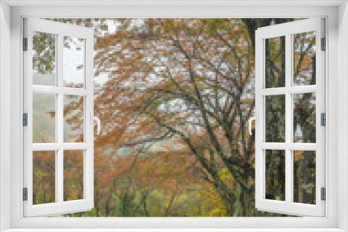 Fototapeta Naklejka Na Ścianę Okno 3D - Autumn Leaves