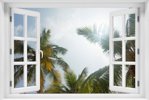 Fototapeta Naklejka Na Ścianę Okno 3D - Coconut palm trees at tropical coast against blue sky