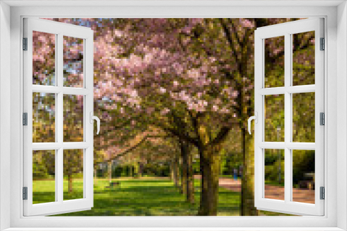 Fototapeta Naklejka Na Ścianę Okno 3D - Beautiful park garden in spring. spring landscape