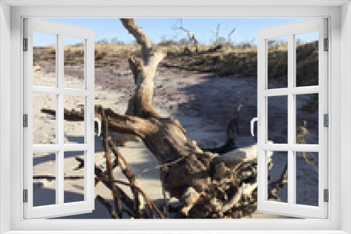 Fototapeta Naklejka Na Ścianę Okno 3D - IMG_0978 Driftwood
