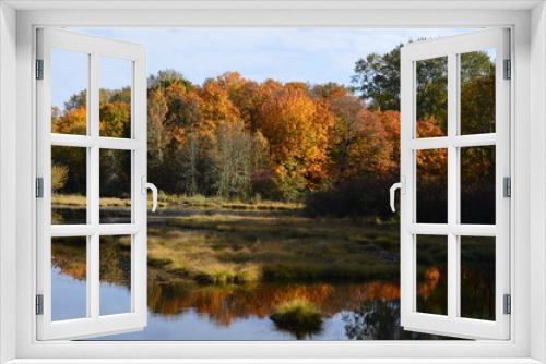 Fototapeta Naklejka Na Ścianę Okno 3D - A pond in Autumn