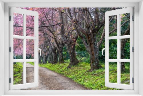 Fototapeta Naklejka Na Ścianę Okno 3D - Beautiful spring cherry blossoms , Cherry flowers on a cherry tree branch, Pink cherry blossom in full bloom.