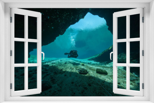 Fototapeta Naklejka Na Ścianę Okno 3D - divers underwater caves diving Florida Jackson Blue cave USA