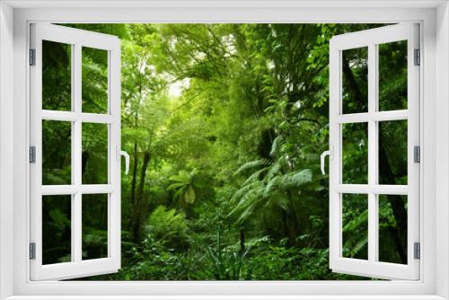 Fototapeta Naklejka Na Ścianę Okno 3D - Tree ferns in tropical green jungle forest