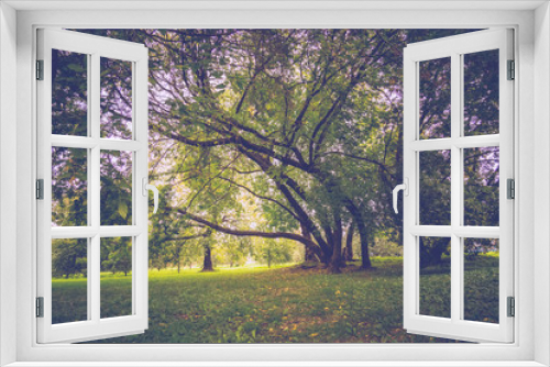 Fototapeta Naklejka Na Ścianę Okno 3D - Green Crooked Trees in the Park Retro