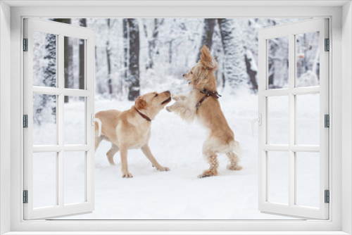 Fototapeta Naklejka Na Ścianę Okno 3D - Dogs Playing in Snow. Winter dog walk in the park