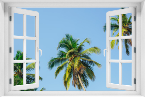 Fototapeta Naklejka Na Ścianę Okno 3D - Palm trees against blue sky, Palm trees at tropical coast, vintage toned and stylized, coconut tree,summer tree ,retro