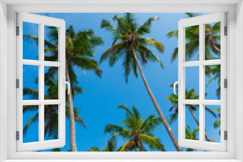 Fototapeta Naklejka Na Ścianę Okno 3D - Coconut palm trees