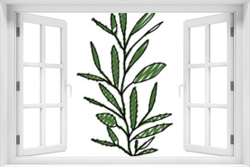 Fototapeta Naklejka Na Ścianę Okno 3D - ramification with several leaves on color crayon silhouette vector illustration