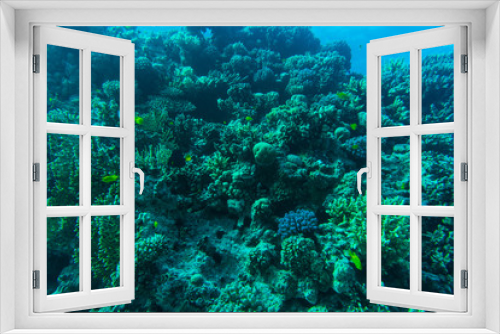 Fototapeta Naklejka Na Ścianę Okno 3D - Coral reef with fire coral and exotic fishes at the bottom of colorful tropical sea underwater
