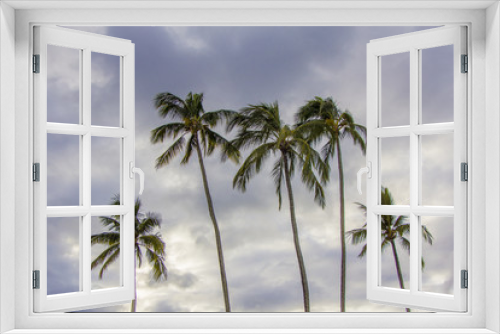 Fototapeta Naklejka Na Ścianę Okno 3D - Palms on the blue sky background in Hawaii