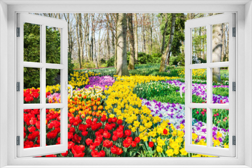 Fototapeta Naklejka Na Ścianę Okno 3D - Blooming flowers in the park. Beauriful spring nature