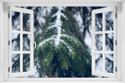 Fototapeta Naklejka Na Ścianę Okno 3D - Snowy Pine