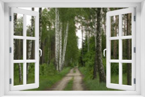 Fototapeta Naklejka Na Ścianę Okno 3D -  spring country road through a green forest