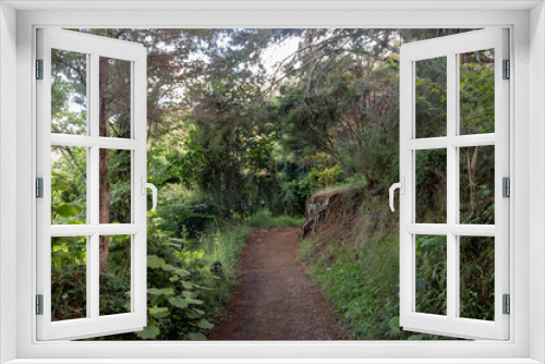 Fototapeta Naklejka Na Ścianę Okno 3D - New Zealand Hiking Path Used For Lord Of The Rings 
