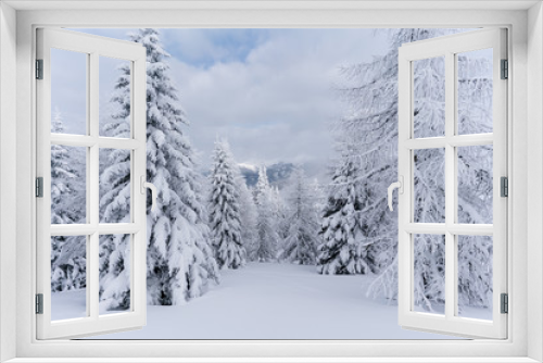 Fototapeta Naklejka Na Ścianę Okno 3D - Verschneiter Wald in Schneelandschaft