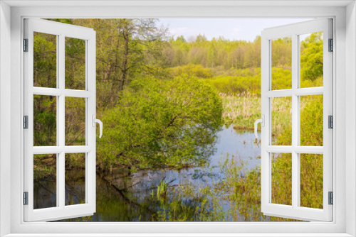 Fototapeta Naklejka Na Ścianę Okno 3D - Summer landscape with marsh in the meadow near forest and blue sky. Willow river forest