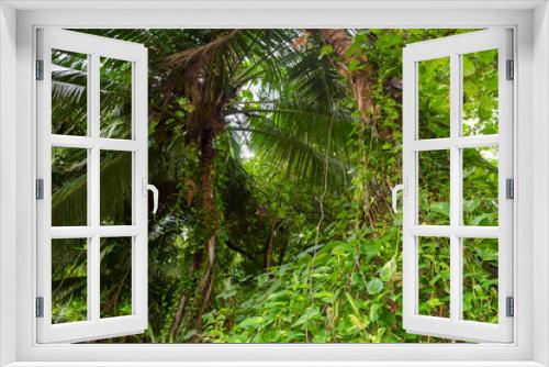 Fototapeta Naklejka Na Ścianę Okno 3D - Bushy Jungles in Seychelles