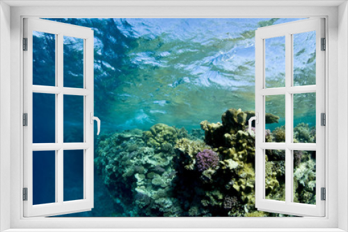 Fototapeta Naklejka Na Ścianę Okno 3D - paysage sous marin et vagues, mer Rouge, Egypte