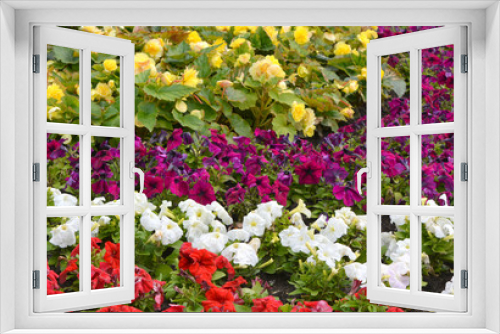 Fototapeta Naklejka Na Ścianę Okno 3D - Beautiful flowerbed with multicolored flowers, landscape design