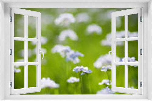 Fototapeta Naklejka Na Ścianę Okno 3D - Frühlingsblumen