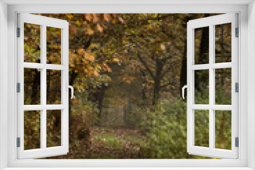 Fototapeta Naklejka Na Ścianę Okno 3D - Autumnal landscape