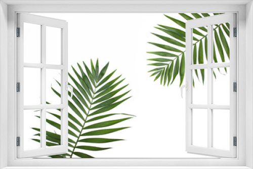 Fototapeta Naklejka Na Ścianę Okno 3D - Palm leaves isolated on white background.