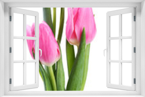 Fototapeta Naklejka Na Ścianę Okno 3D - Bouquet of pink tulips isolated on white background