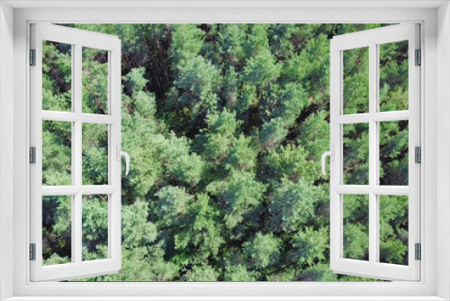 Fototapeta Naklejka Na Ścianę Okno 3D - Beautiful panoramic over the tops of pine forest. Clip. Top view of the pine forest. Nature background