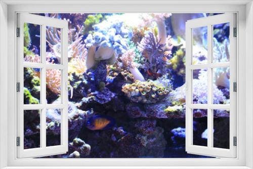Fototapeta Naklejka Na Ścianę Okno 3D - sea aquarium background