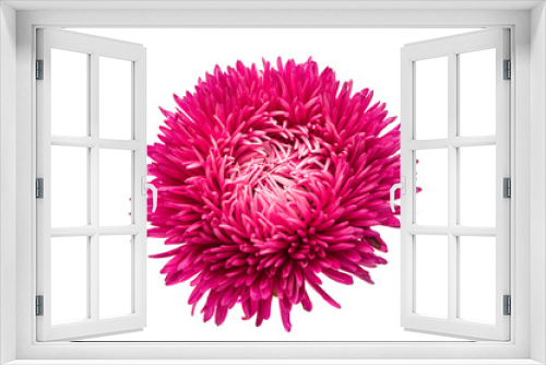 Fototapeta Naklejka Na Ścianę Okno 3D - aster flowers