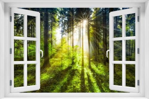 Fototapeta Naklejka Na Ścianę Okno 3D - Grüne Waldlichtung im Sonnenlicht