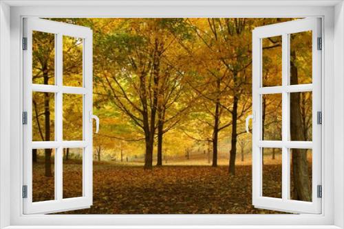 Fototapeta Naklejka Na Ścianę Okno 3D - yellow trees
