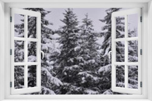 Fototapeta Naklejka Na Ścianę Okno 3D - winter