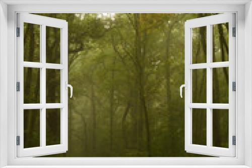 Fototapeta Naklejka Na Ścianę Okno 3D - waldweg im nebel