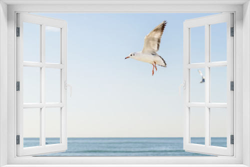 Fototapeta Naklejka Na Ścianę Okno 3D - Seagull flying over the sea against the sky