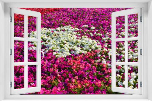 Fototapeta Naklejka Na Ścianę Okno 3D - Flower carpet