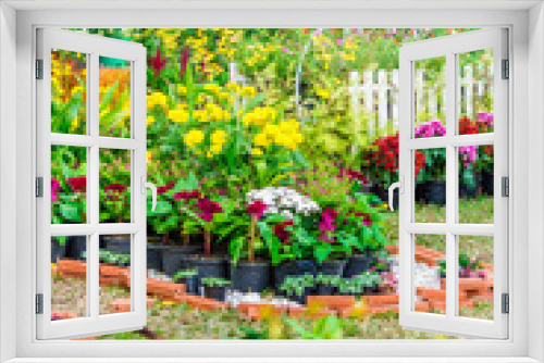 Fototapeta Naklejka Na Ścianę Okno 3D - In cozy home garden on summer./ Vintage white bike and flowerpot in cozy home flowers garden on summer.  
