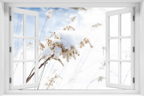 Fototapeta Naklejka Na Ścianę Okno 3D - frozen twig in the snow