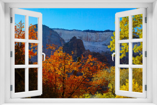 Fototapeta Naklejka Na Ścianę Okno 3D - Autumn Fall Colors in Foliage of Zion National Park, Utah