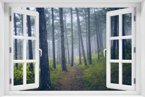 Fototapeta Naklejka Na Ścianę Okno 3D - dream forest background 